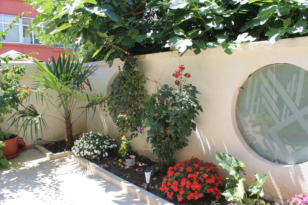 Stela Guest House ツァレヴォ エクステリア 写真